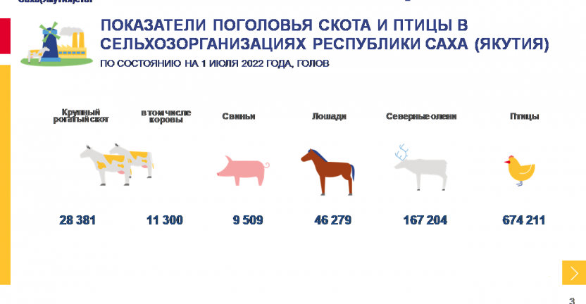 Показатели животноводства в сельхозорганизациях  Республики Саха (Якутия) за январь-июнь  2022 года